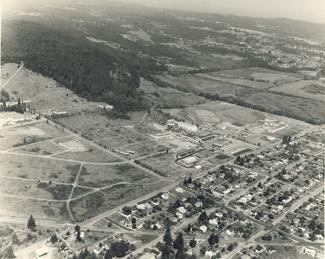 aerial01.jpg